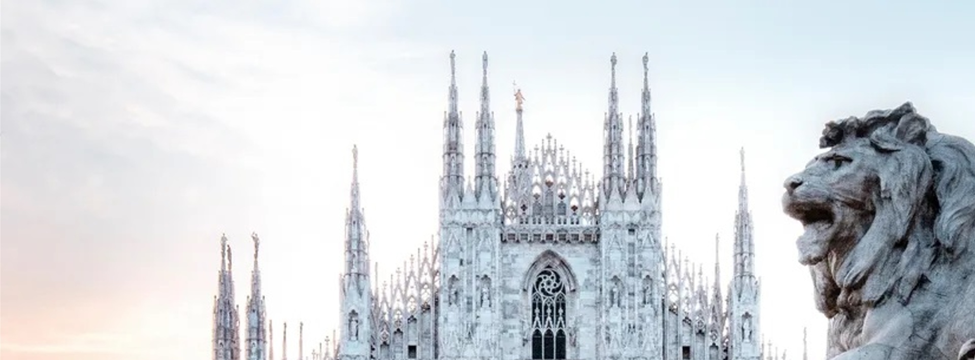 il wafaa white srl servizi di pulizie Milano